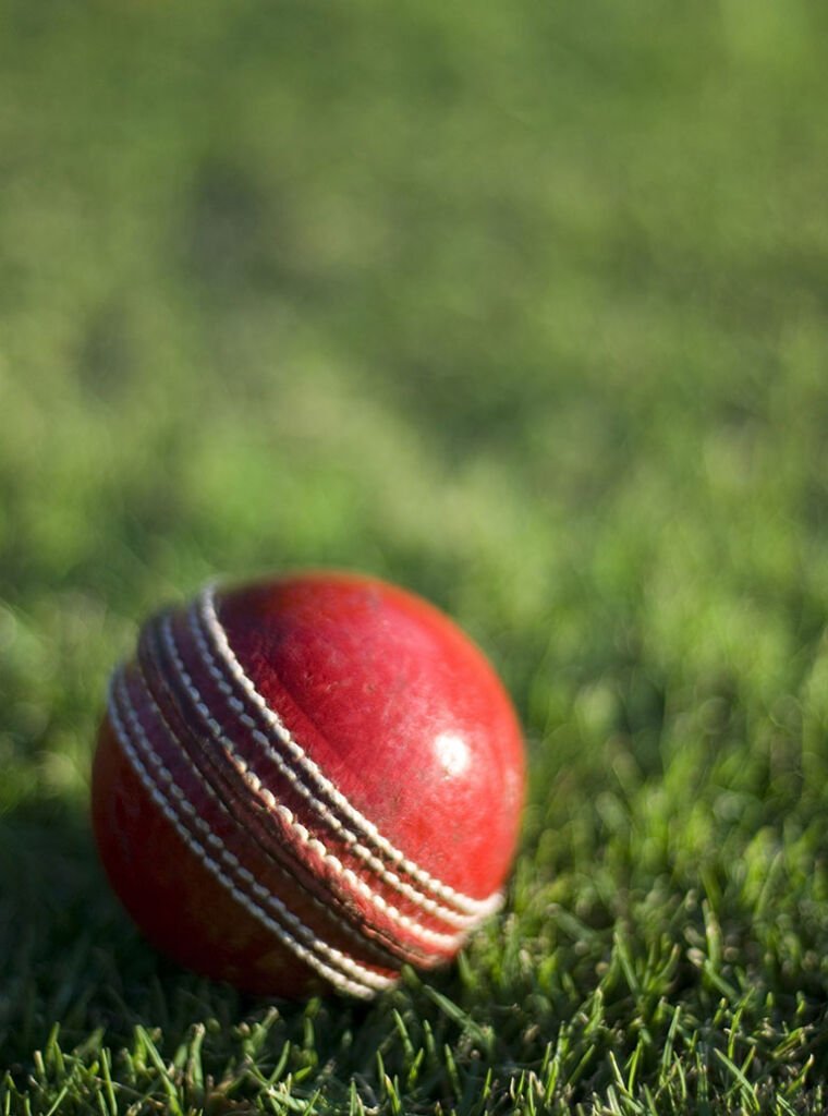 Cricket Wicket and Covers - Synergy Turf