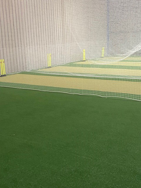 Cricket Synergy Turf